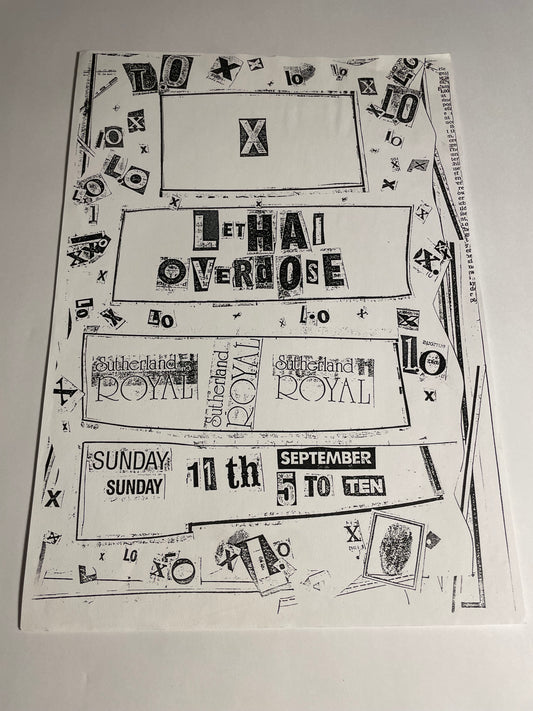 MEAT PUPPETS HARD ONS FLIER