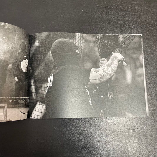 550BC - ULTRA VIOLENT