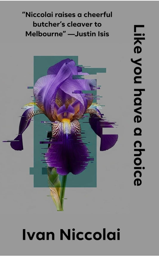 Ivan Niccolai - Like You Have A Choice