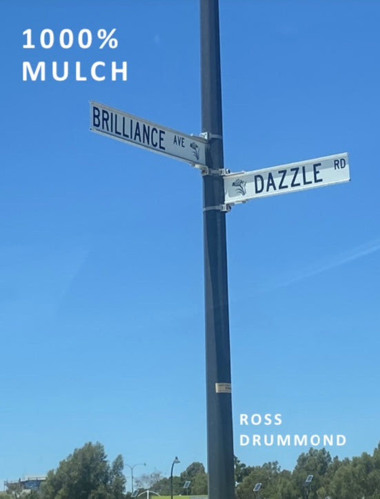 1000% MULCH by Ross Drummond
