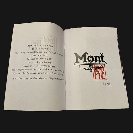 Mahmood Fazal & DX - 19/20 VISIONS