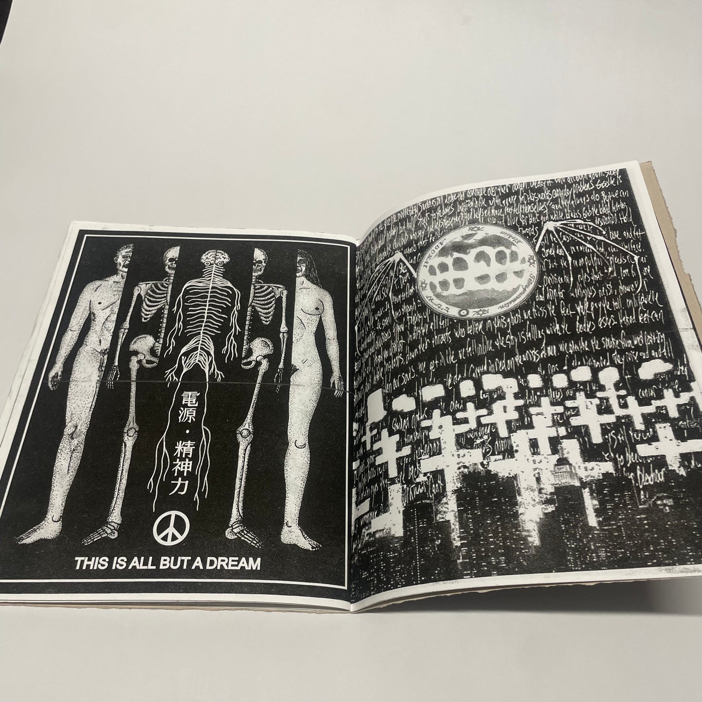 ANASAZI / SURVIVAL 2008