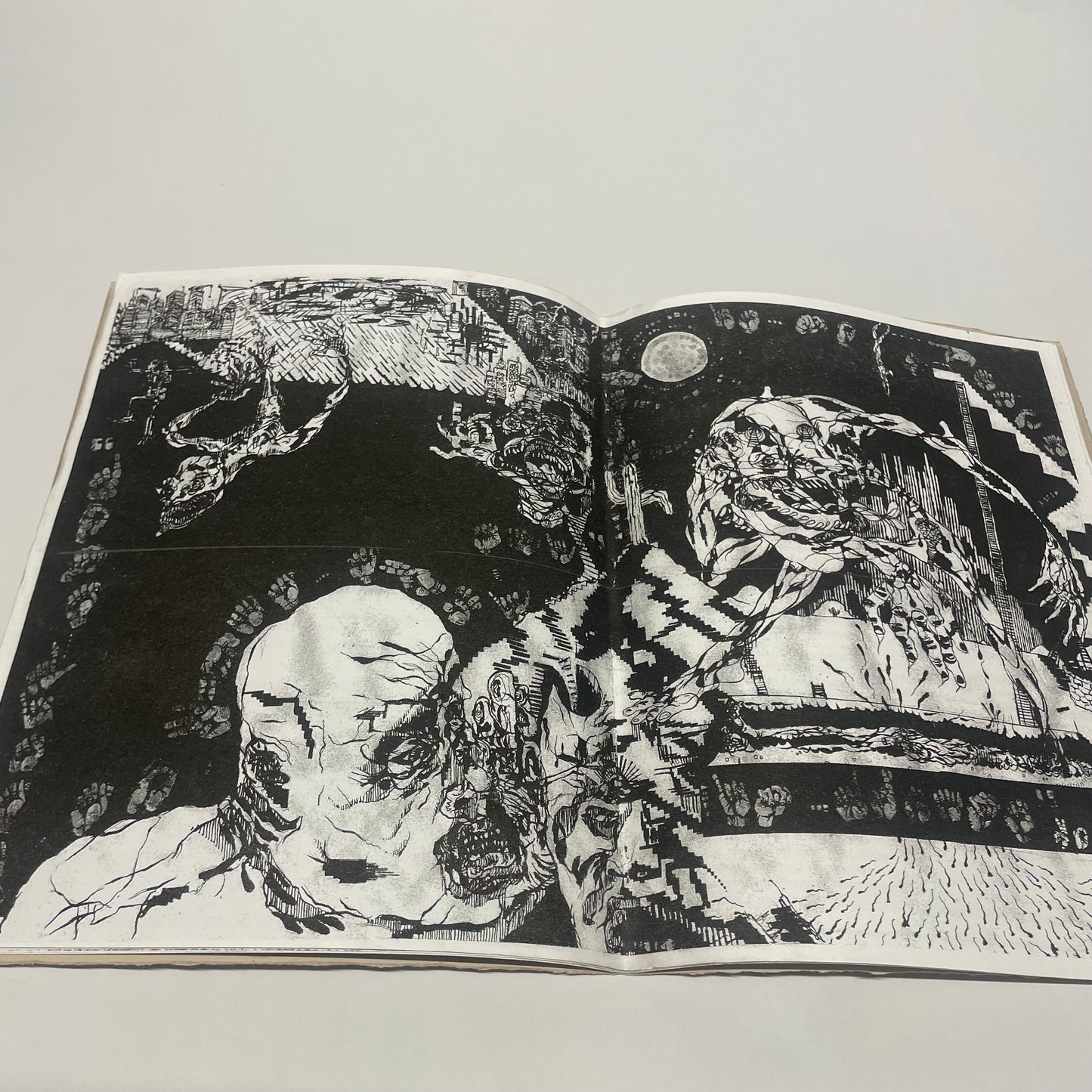 ANASAZI / SURVIVAL 2008