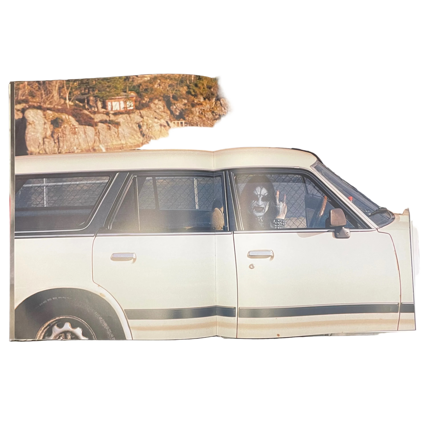 True Norwegian Black Metal - Peter Beste