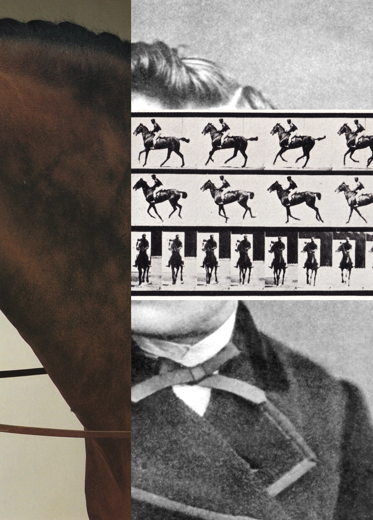 Nietzsche on the horse (e book)