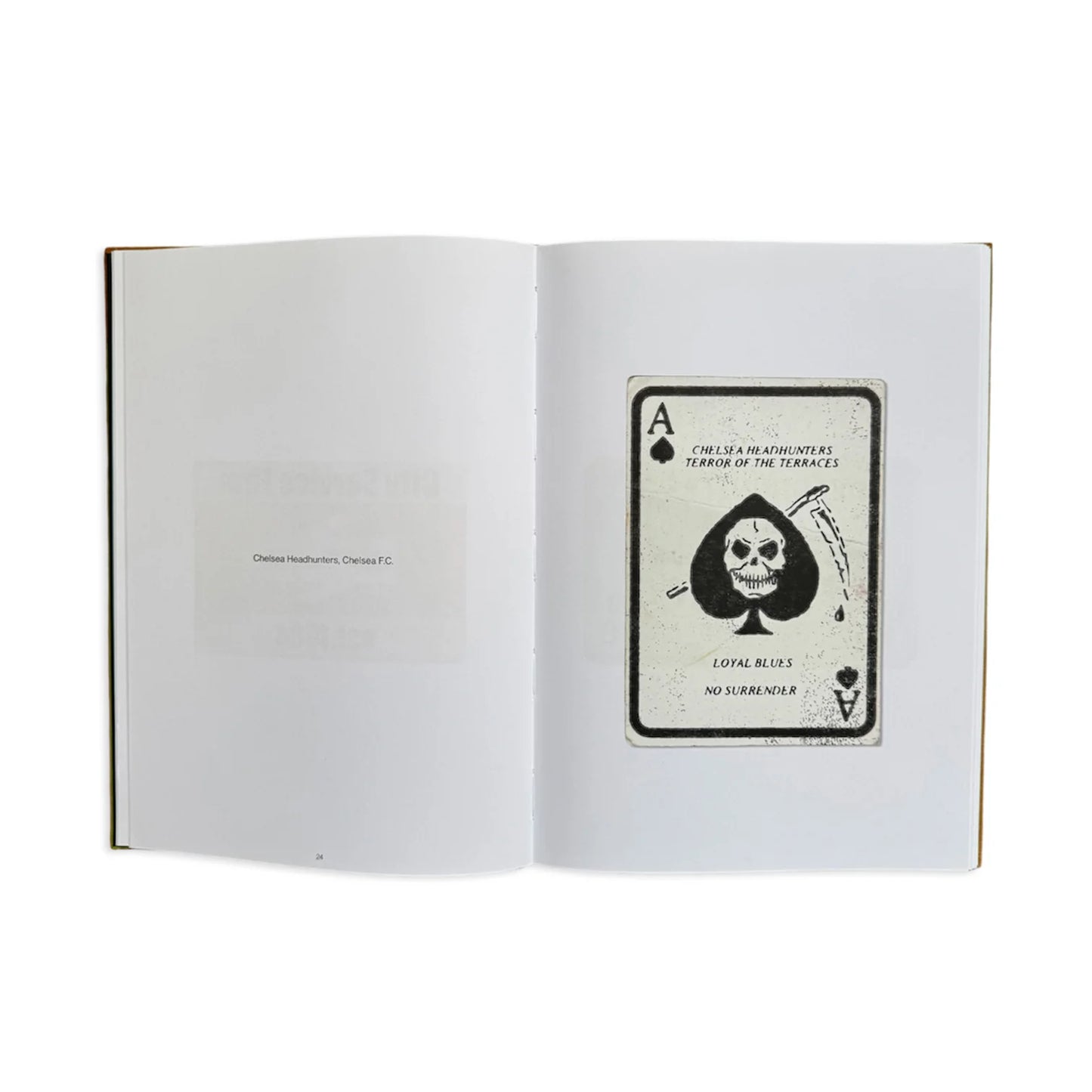 550BC - HOOLICARDS