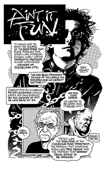 AARON LANGE - AIN'T IT FUN: Peter Laughner & Proto-Punk in the Secret City